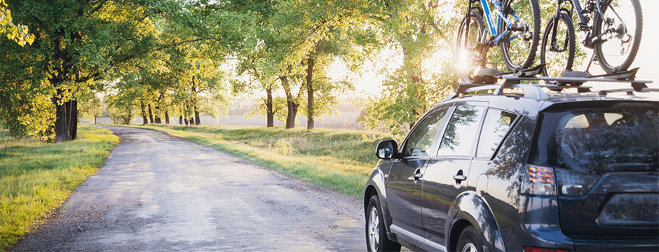 A dark SUV drives down a sun-drenched, paved road lined with lush green trees